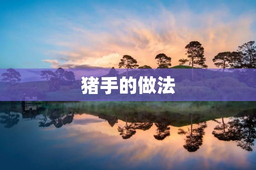 猪手的做法：美味鲜香的烹饪秘籍