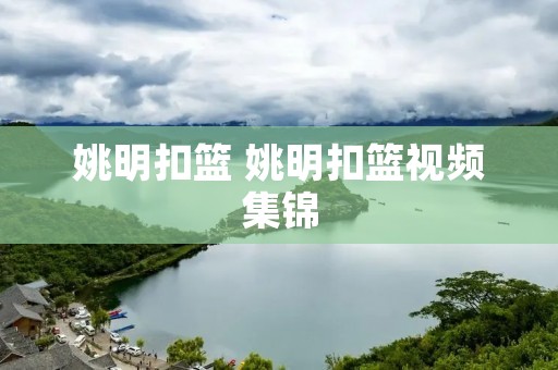 姚明扣篮 姚明扣篮视频集锦