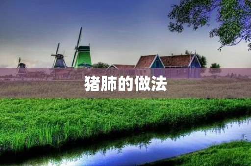 猪肺的做法:美味佳肴的制作方法 猪肺的做法:美味佳肴的制作方法