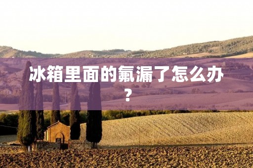 冰箱里面的氟漏了怎么办？