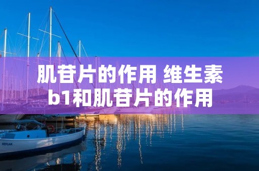 肌苷片的作用 维生素b1和肌苷片的作用