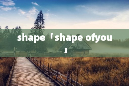 shape「shape ofyou」