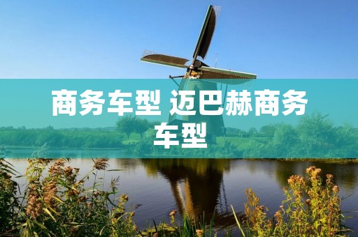 商务车型 迈巴赫商务车型 商务车型 迈巴赫商务车型