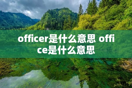 officer是什么意思 office是什么意思