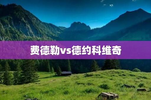 费德勒vs德约科维奇：一场传奇对决