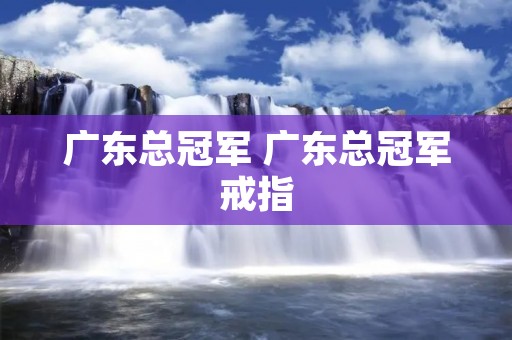 广东总冠军 广东总冠军戒指