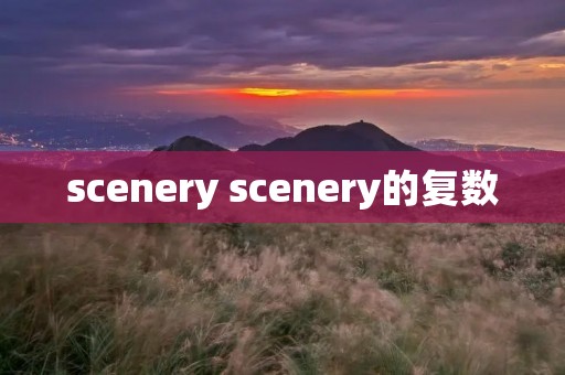 scenery scenery的复数