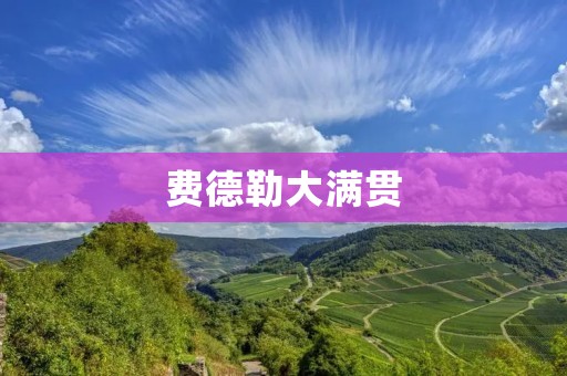费德勒大满贯:一个传奇的诞生