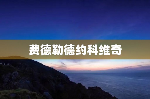 费德勒德约科维奇:两位传奇的较量 费德勒德约科维奇:两位传奇的较量
