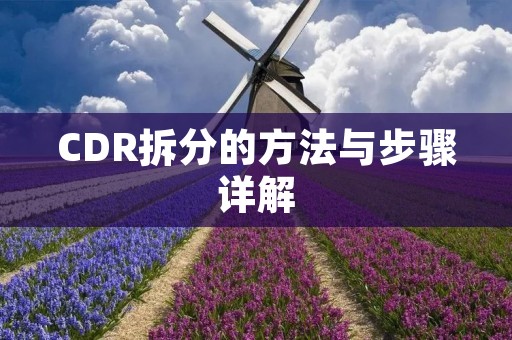 CDR拆分的方法与步骤详解