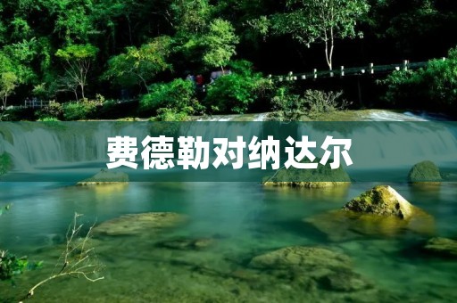 费德勒对纳达尔:传奇对决 费德勒对纳达尔:传奇对决