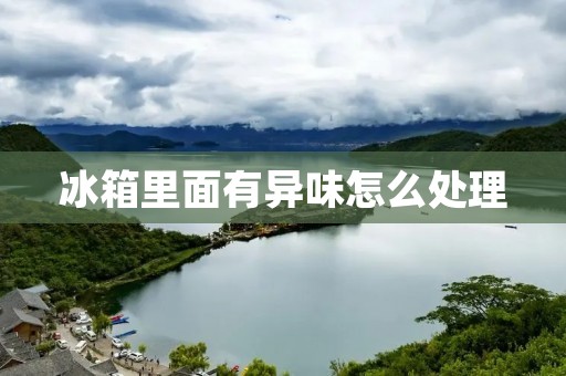 冰箱里面有异味怎么处理