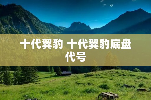 十代翼豹 十代翼豹底盘代号