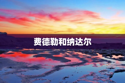 费德勒和纳达尔:传奇之争 费德勒和纳达尔:传奇之争