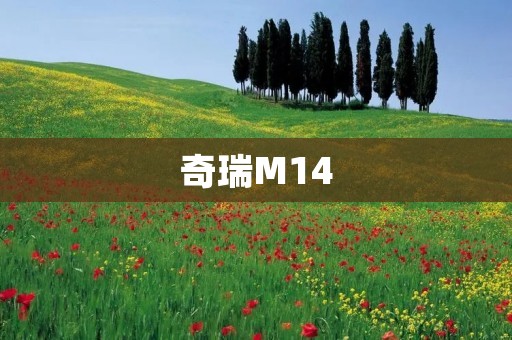 奇瑞M14:充满创新与领先科技的豪华座驾 奇瑞M14:充满创新与领先科技的豪华座驾