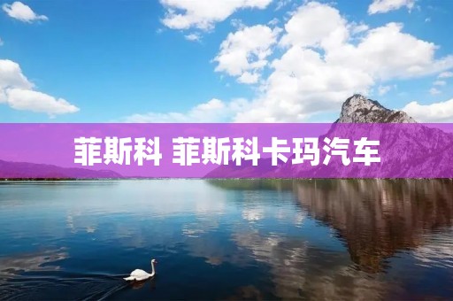 菲斯科 菲斯科卡玛汽车 菲斯科 菲斯科卡玛汽车