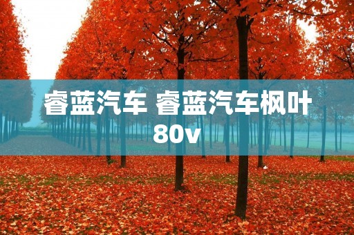睿蓝汽车 睿蓝汽车枫叶80v