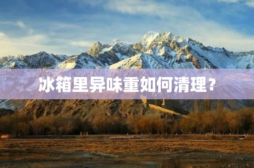 冰箱里异味重如何清理？