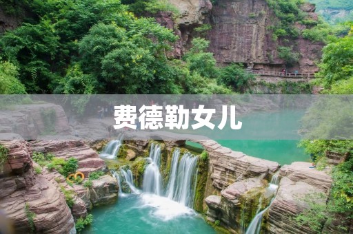 费德勒女儿：探索未来的种子