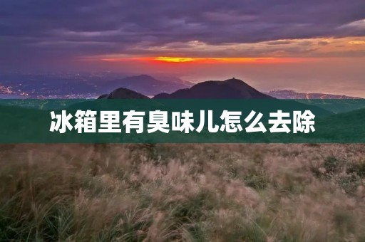 冰箱里有臭味儿怎么去除