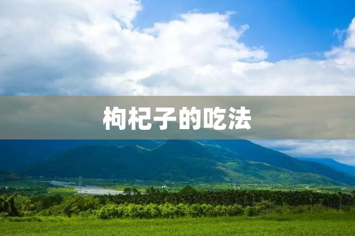 枸杞子的吃法:探寻枸杞子的多种食用方式