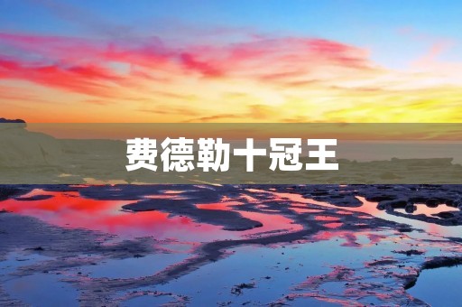 费德勒十冠王:一位传奇的诞生 费德勒十冠王:一位传奇的诞生