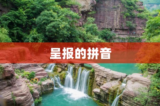 呈报的拼音