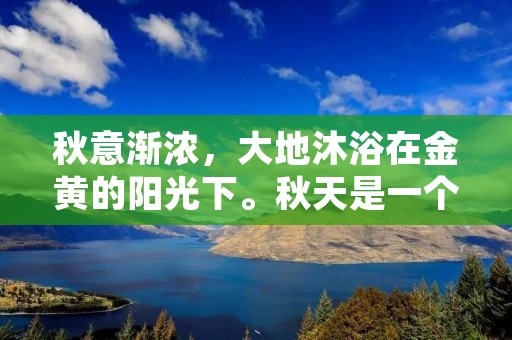 秋意渐浓,大地沐浴在金黄的阳光下。秋天是一个让人心旷神怡的季节,它以它独特的优雅和温暖给人带来了无限的想象空间。在这个季节里,我们可以感受到大自然的变化和生命的轮回。秋天的诗意让人陶醉,让人流连忘返。