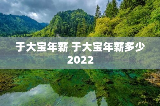 于大宝年薪 于大宝年薪多少2022