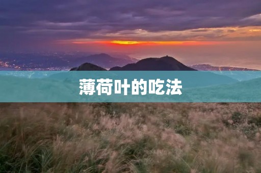 薄荷叶的吃法:探索多种美味与健康