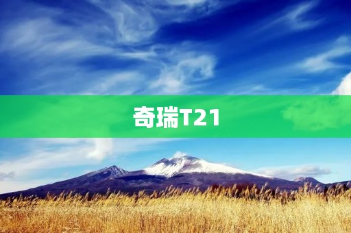 奇瑞T21:出色动力与舒适驾驶体验 奇瑞T21:出色动力与舒适驾驶体验