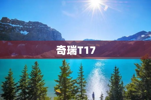 奇瑞T17：开创跨界时代的豪华座驾