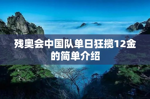 残奥会中国队单日狂揽12金的简单介绍