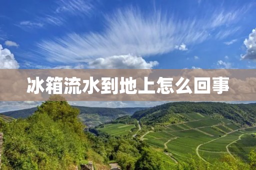 冰箱流水到地上怎么回事