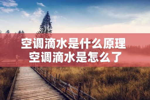 空调滴水是什么原理 空调滴水是怎么了 空调滴水是什么原理 空调滴水是怎么了