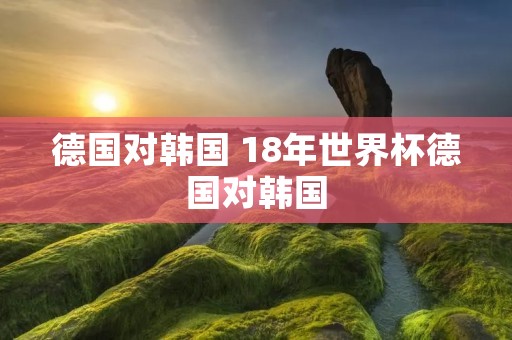 德国对韩国 18年世界杯德国对韩国