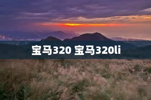 宝马320 宝马320li 宝马320 宝马320li