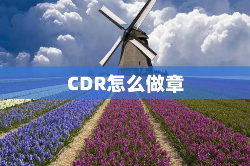 CDR怎么做章