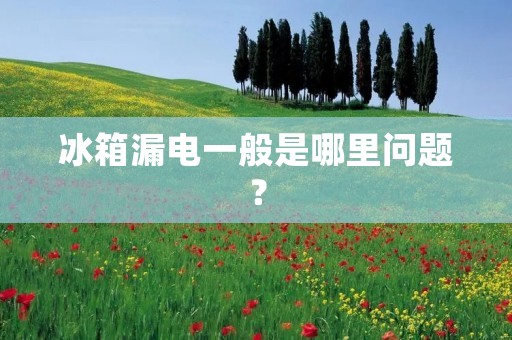 冰箱漏电一般是哪里问题？