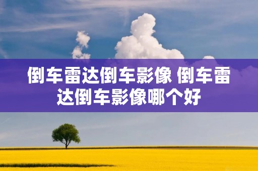 倒车雷达倒车影像 倒车雷达倒车影像哪个好 倒车雷达倒车影像 倒车雷达倒车影像哪个好