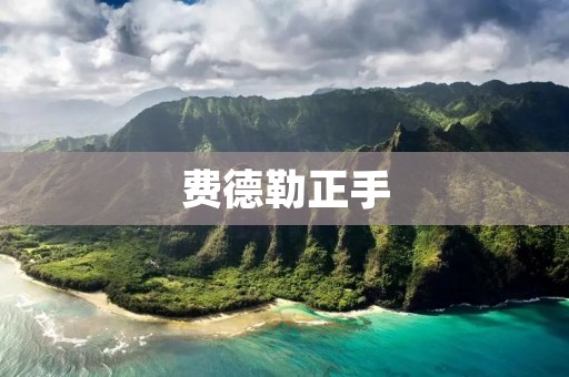 费德勒正手:网坛传奇的杀手武器 费德勒正手:网坛传奇的杀手武器