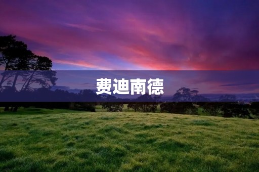 费迪南德:英格兰足球传奇的崛起与荣耀