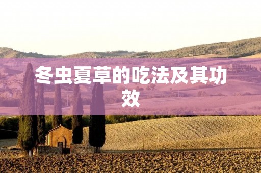 冬虫夏草的吃法及其功效