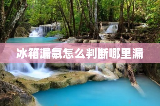 冰箱漏氟怎么判断哪里漏 冰箱漏氟怎么判断哪里漏