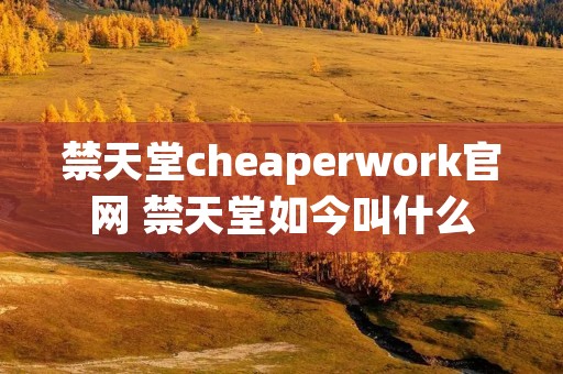 禁天堂cheaperwork官网 禁天堂如今叫什么