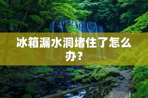 冰箱漏水洞堵住了怎么办？