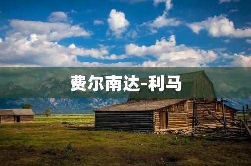 费尔南达-利马：打造现代化的城市发展典范