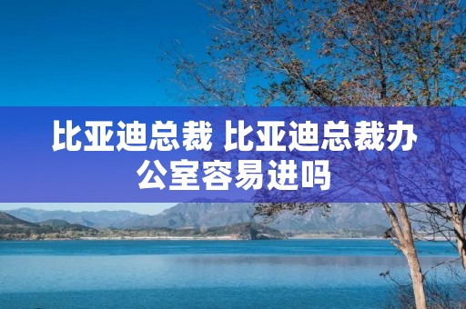 比亚迪总裁 比亚迪总裁办公室容易进吗
