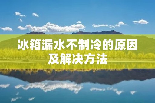 冰箱漏水不制冷的原因及解决方法 冰箱漏水不制冷的原因及解决方法