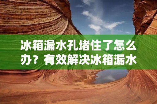 冰箱漏水孔堵住了怎么办？有效解决冰箱漏水问题的方法分享